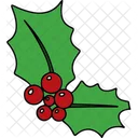 Holly berry  Icon