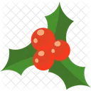 Christmas Decoration Xmas Icon