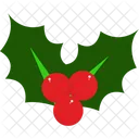 Holly  Icon