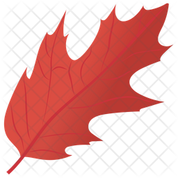 Holly Leaf Icon