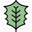 Holly leaf  Icon