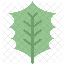 Holly leaf  Icon