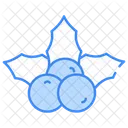 Holly Leaves And Berries Icon