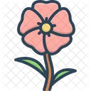 접시꽃 Althaea 아욱과 아이콘