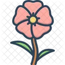 Hollyhock  Icon