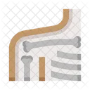 Anatomia Hombro Costillas Icon