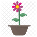 Home Plant Rose Icon