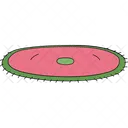 Home Carpet Carpet Rug Icon