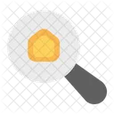 Home Search  Icon