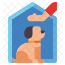 Home Training Home Pet Icon