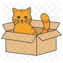 Homeless Cat Homeless Kitten Box Icon