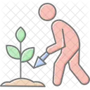 Homem Plantando Arvore Homem Plantando Ícone