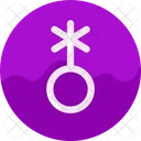 Homosexual  Icon