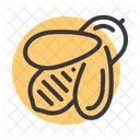 Honey Bee Insect Icon