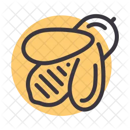 Honey  Icon