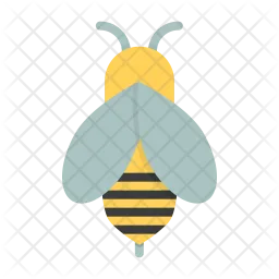 Honey  Icon