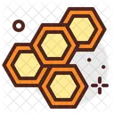 Honey Bee Sweet Icon