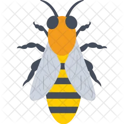 Honey Bee  Icon