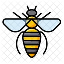 Honeybee Bumblebee Bee Icon