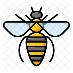 Honey Bee  Icon