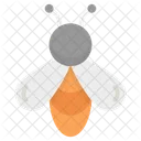 Honey Bee Insect Bee Icon
