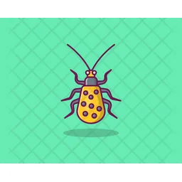 Honey Bee  Icon