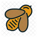 Bee Insect Apiary Icon