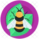 Apis Mellifera Bumblebee Honey Bee Icon