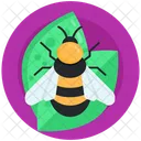 Apis Mellifera Bumblebee Honey Bee Icon