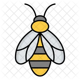 Honey Bee  Icon