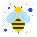 Honey Bee Bee Fly Icon
