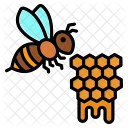 Honey  bee  Icon