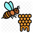 Honey Bee Icon