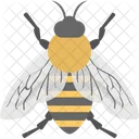 Honey Bee Cartoon Icon