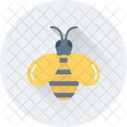 Honey Bee  Icon