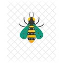 Honey Bee Insect Honey Icon