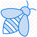 Honey Bee Bee Insect Icon