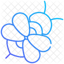 Honey Bee Icon