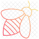Honey bee  Icon