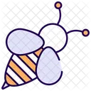 Honey Bee Bee Insect Icon