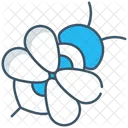 Honey Bee Icon