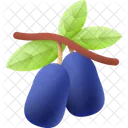 Berry Fruit Food Icon