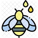 Honey  Icon