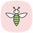 Honey  Icon
