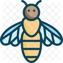 Honeybeem Honeybee Apis Icon