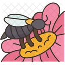 Honeybee Pollen Pollinator Icon