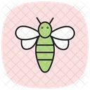 Honeybee Insect Honey Icon