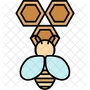 Honeycom Bee Healthy Icon
