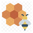 Honeycomb Honey Bee Icon