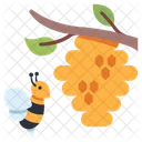 Honeycomb Honey Sweet Icon